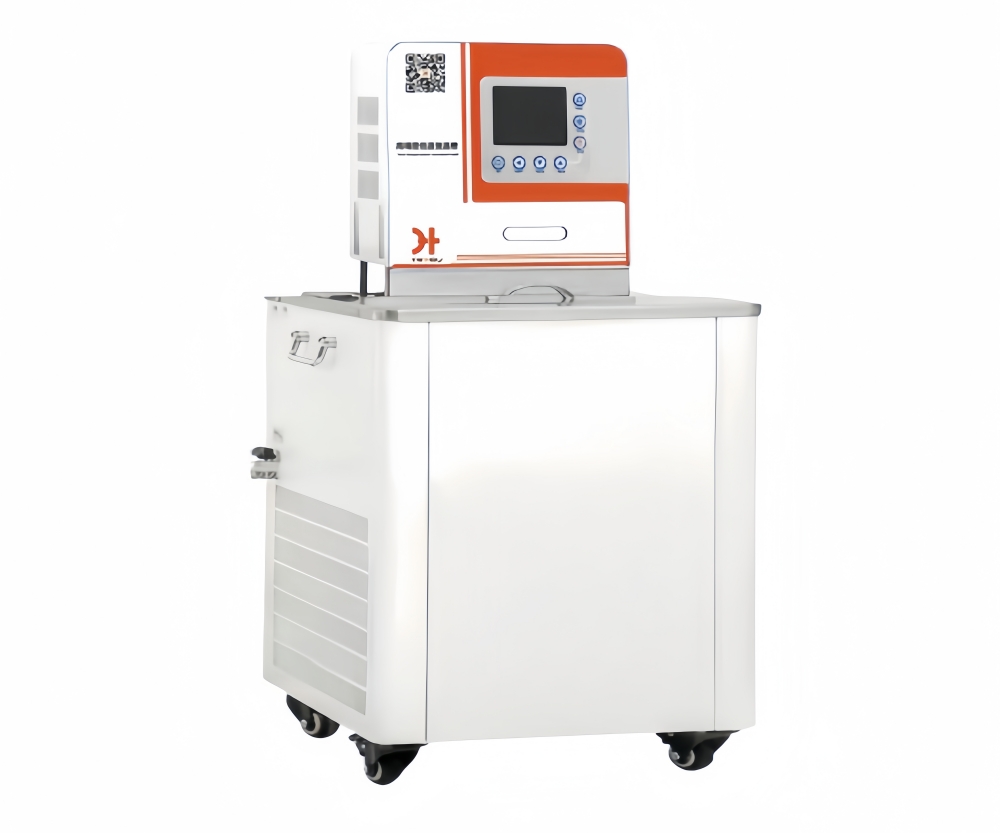 ����ѭ����