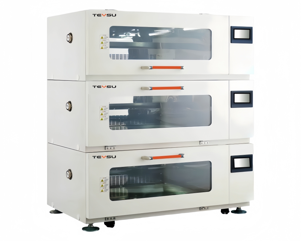 ��ʽ�������䣨300��